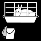 clean out the rabbit's cage