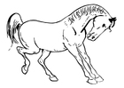 horse