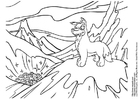 neopets winter