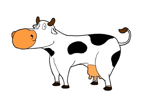 cow