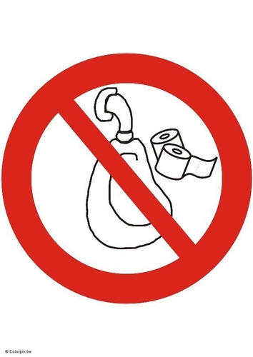 do not throw paper in the toilet