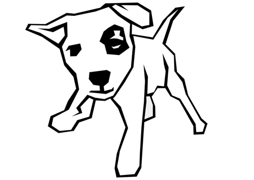 dog