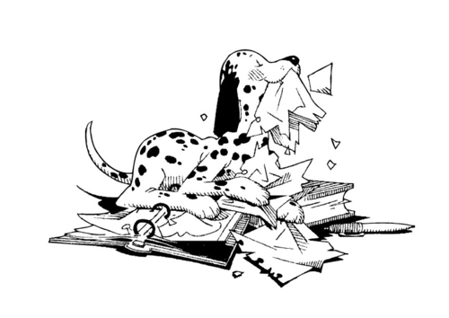 dog