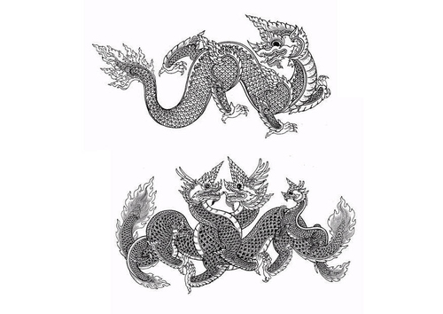 dragons