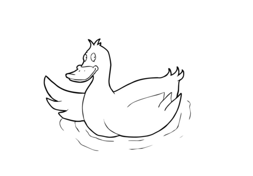 duck