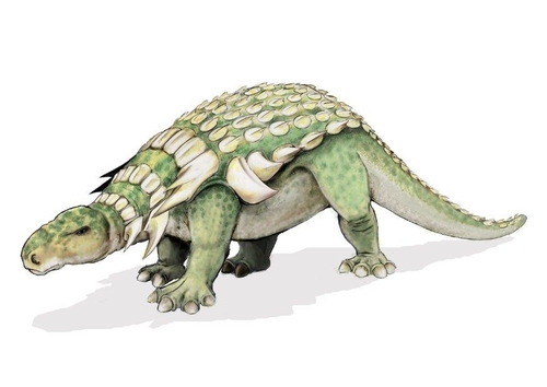 Edmontonia dinosaur
