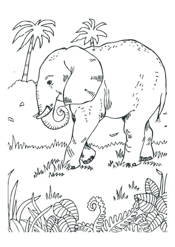 elephant