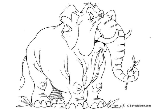 elephant