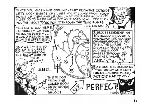 episode 11
