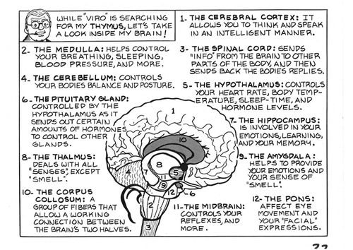 episode 22