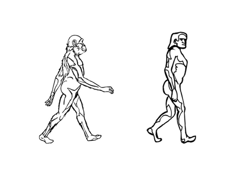 evolution