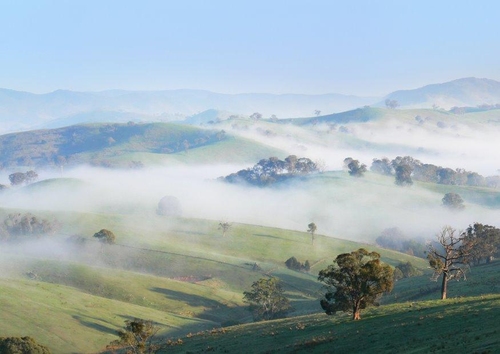 foggy morning