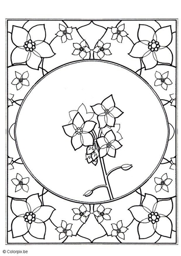 forget-me-not