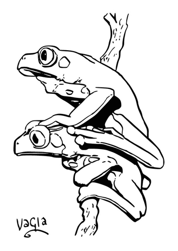 frogs