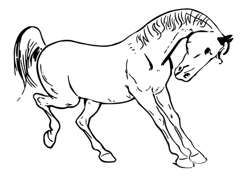 horse