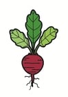 Images beetroot