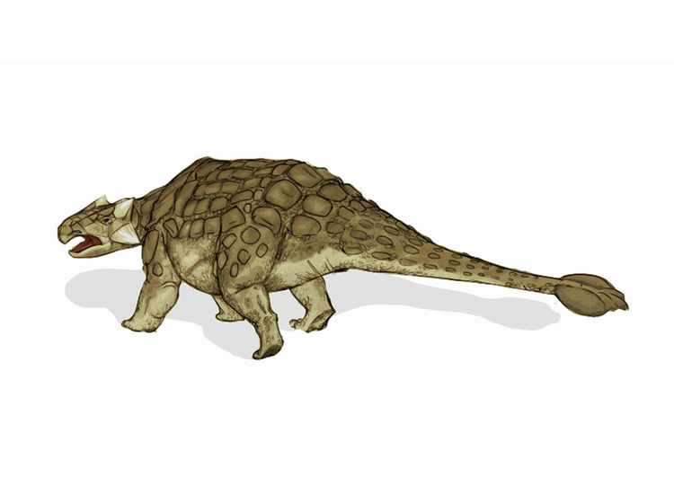 Image dinosaur - ankylosaurus 2