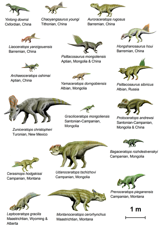 Image Dinosaurs (Basal Ceratopsia)