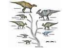 Images evolution of the dinosaurs