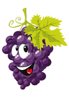 Images fruit - grapes