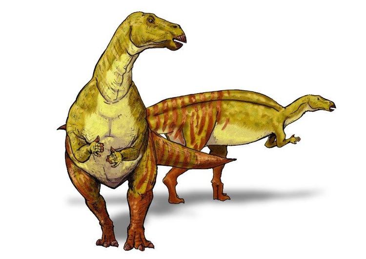 Image Iguanodon