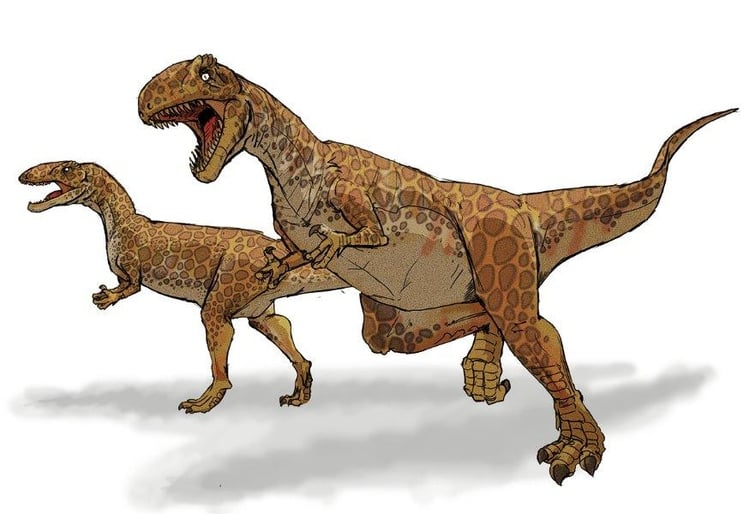 Image Megalosaur