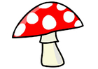 Images mushroom