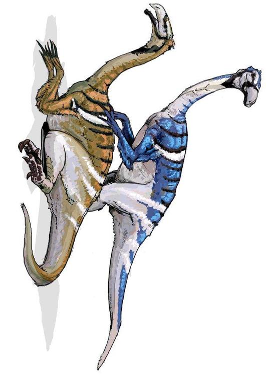 Nanshuingosaur dinosaur
