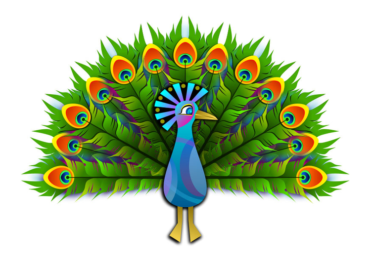 Image peacock