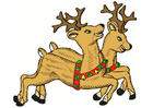 Images reindeers