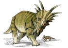 Styracosaur dinosaur