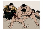 Images sumo wrestling