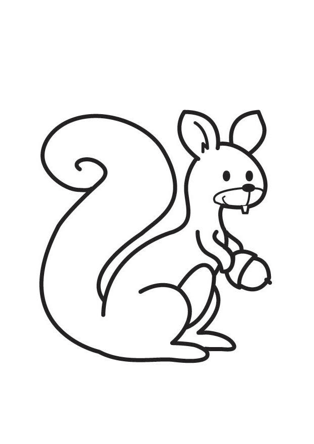 squirrel Coloring page squirrel
