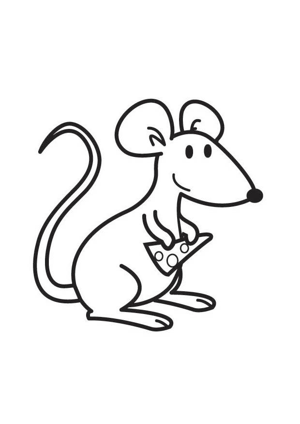 mouse with cheese Coloring page mouse with cheese