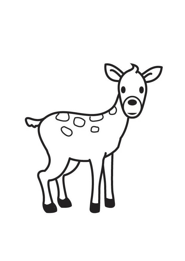 doe Coloring page doe