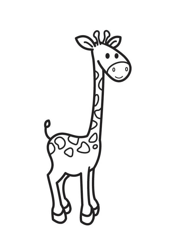 giraffe Coloring page giraffe