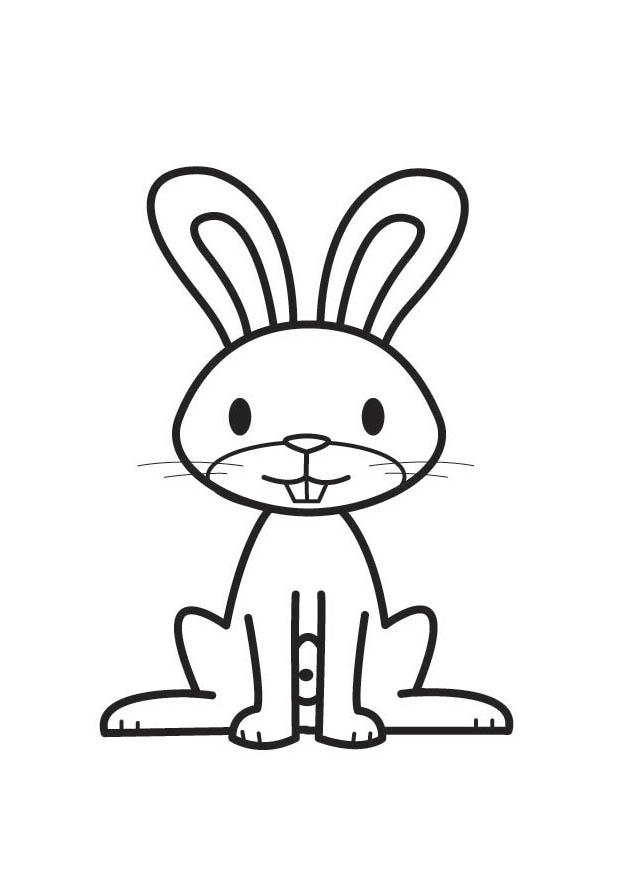 rabbit Coloring page rabbit