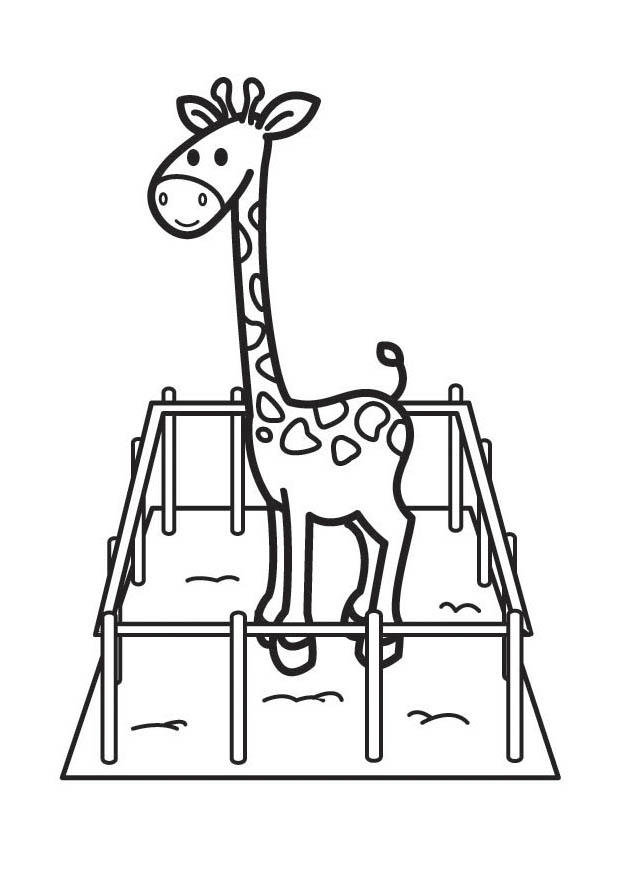 giraffe Coloring page giraffe