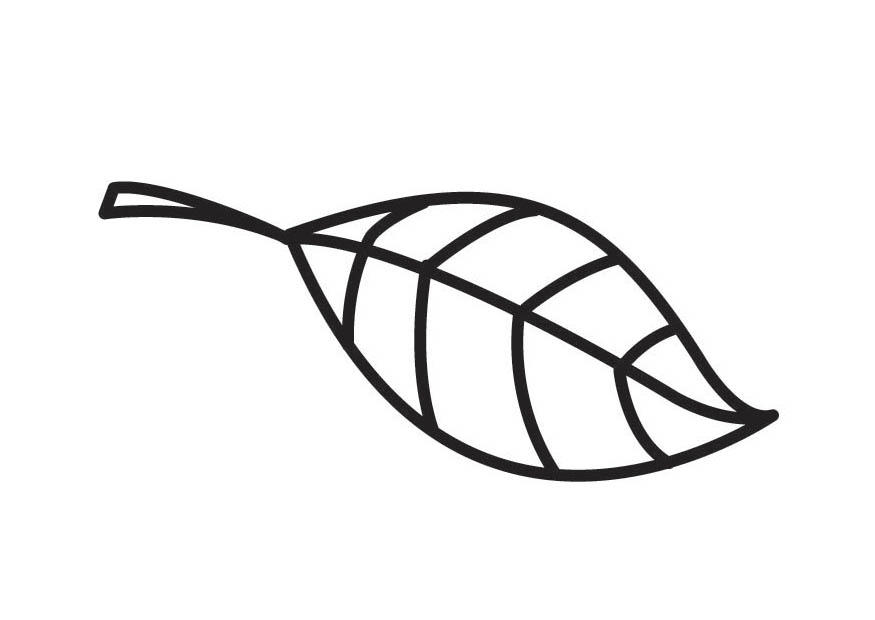 leaf Coloring page leaf