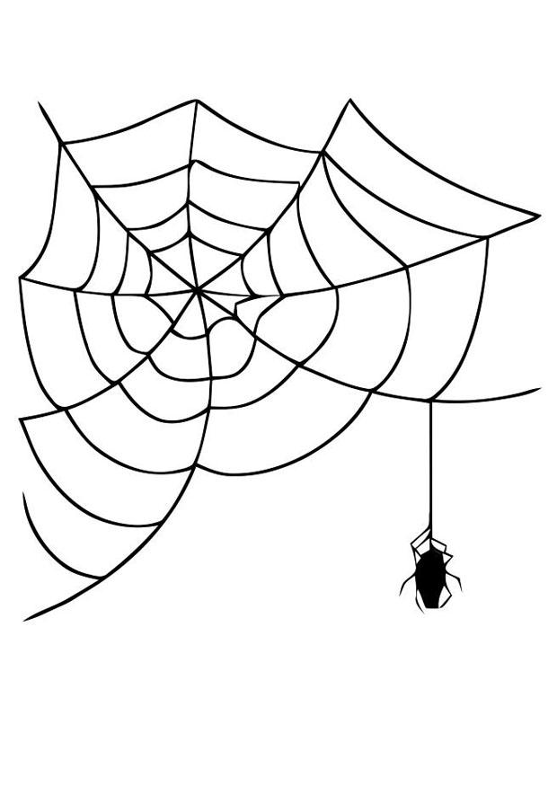 spider web with spider Coloring page spider web with spider