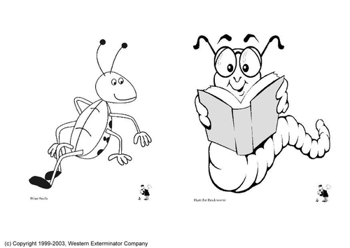 insects