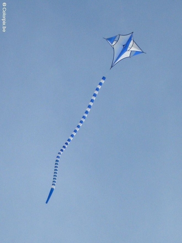 kite