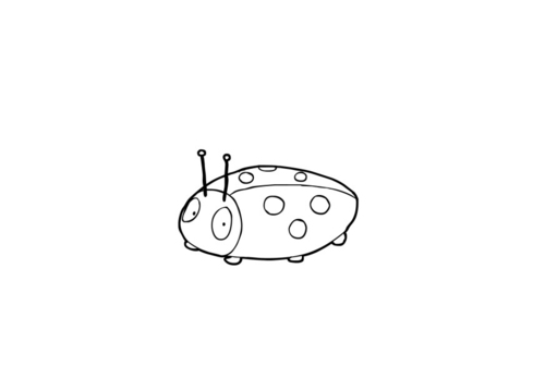 ladybird