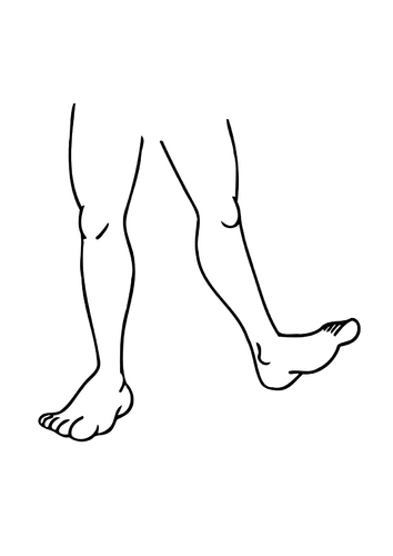 legs