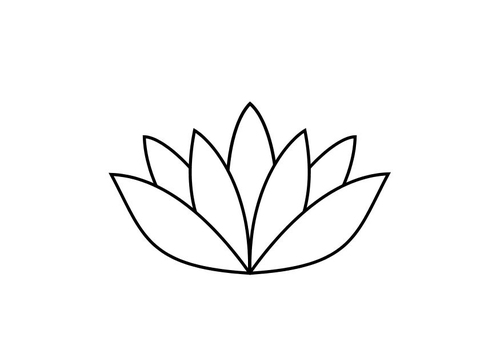 lotus flower