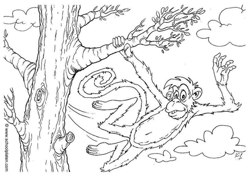 monkey