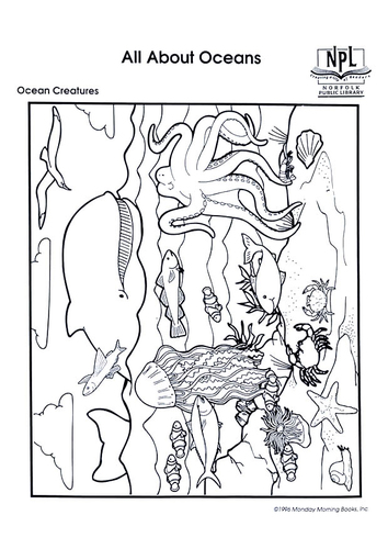 ocean creatures
