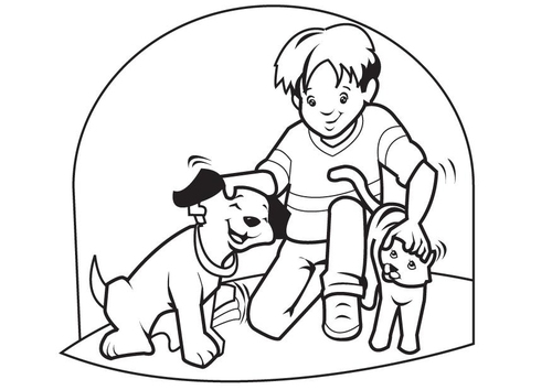 pets cat and dog