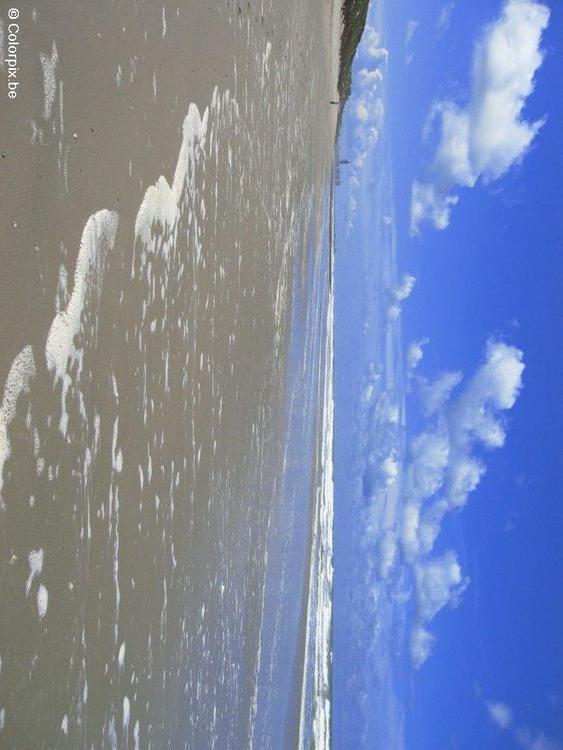 beach 3