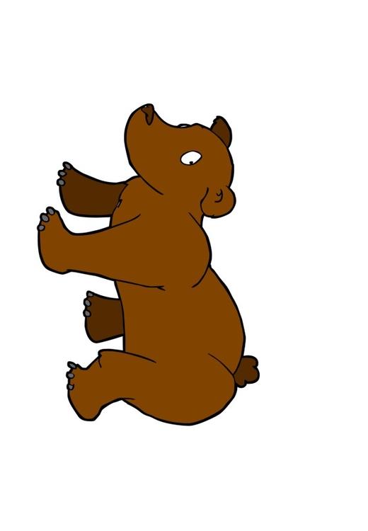 bear